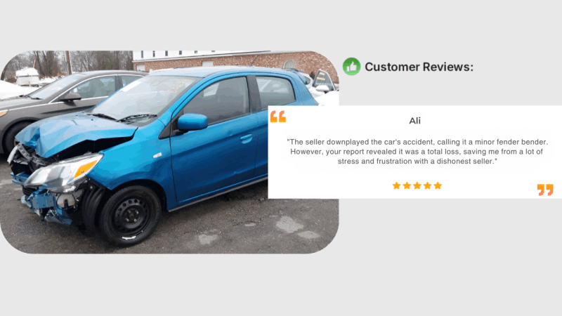 VinCheckUp Reviews